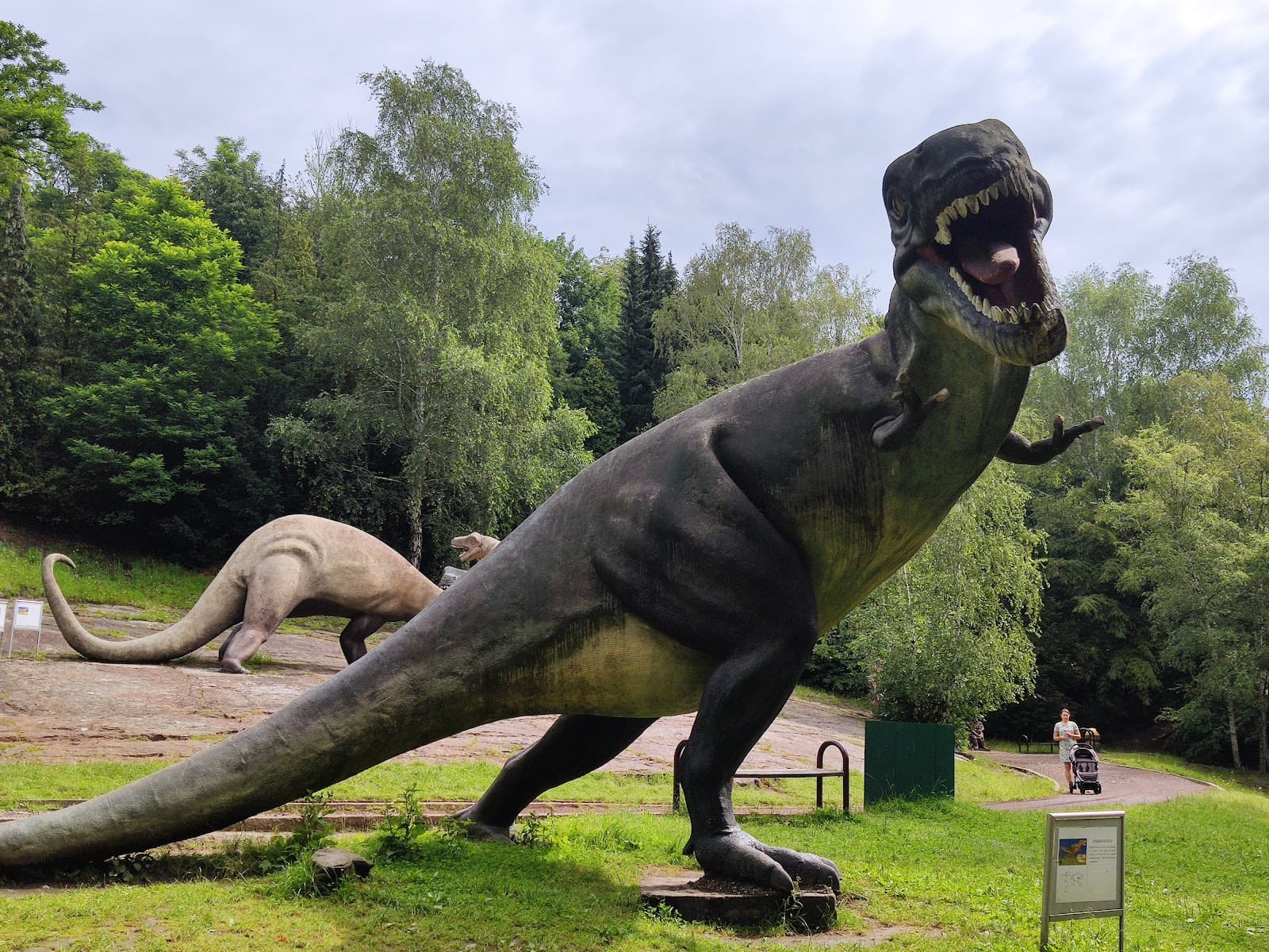 Silesian Zoological Garden - Image 1