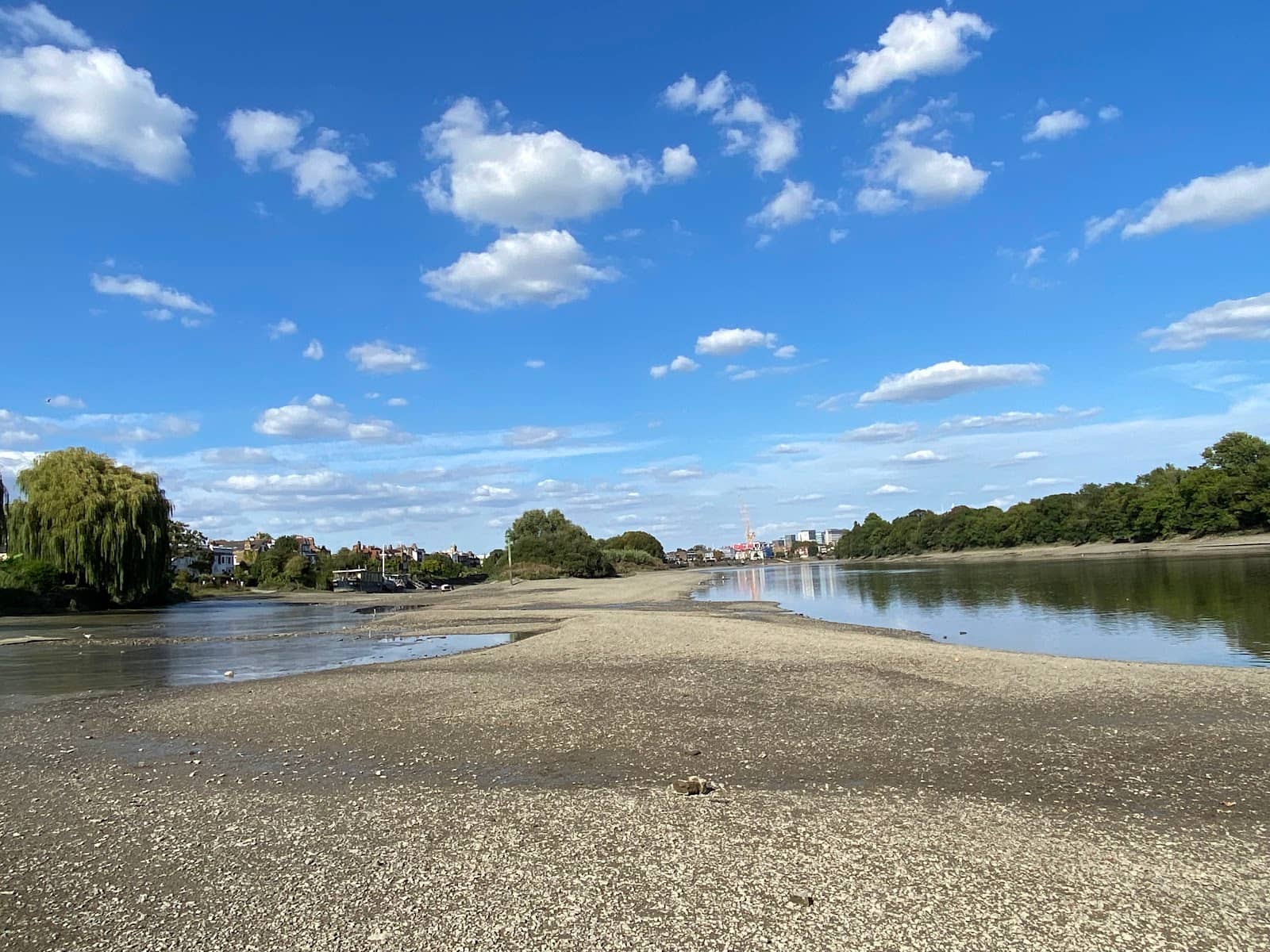 Historical Willow Withies