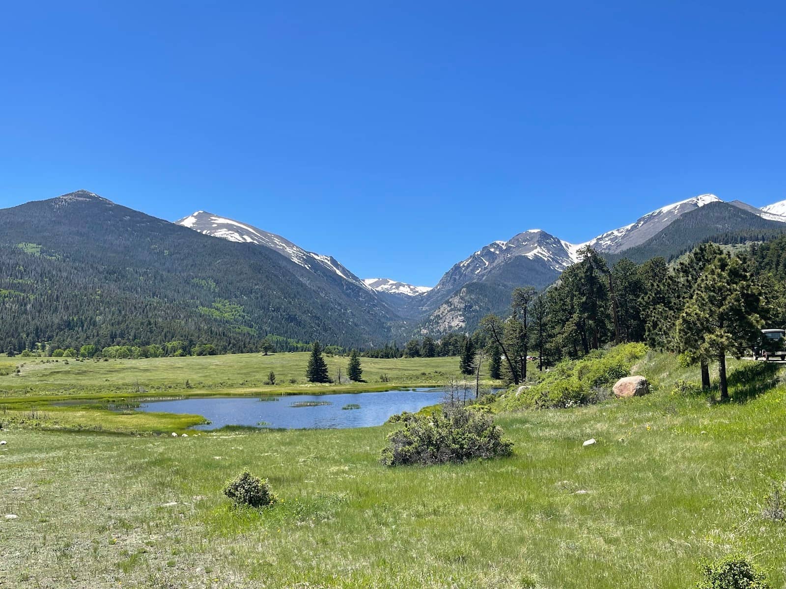 Scenic Meadow Views