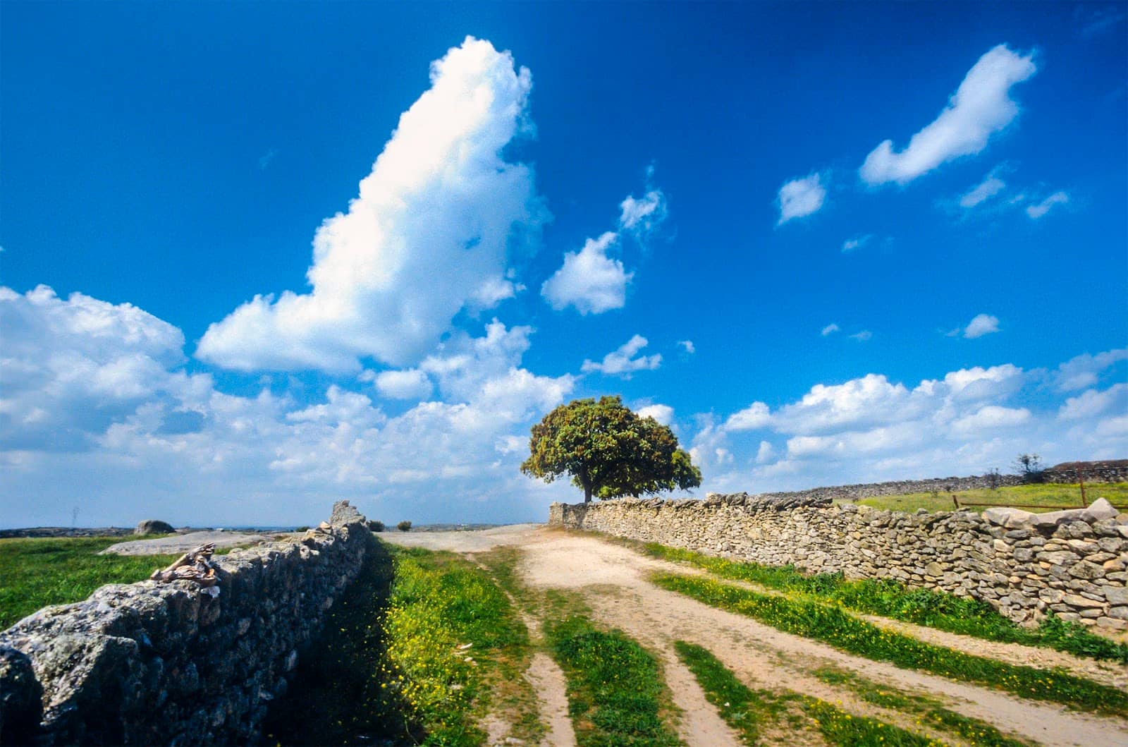 Rural Heritage Trail