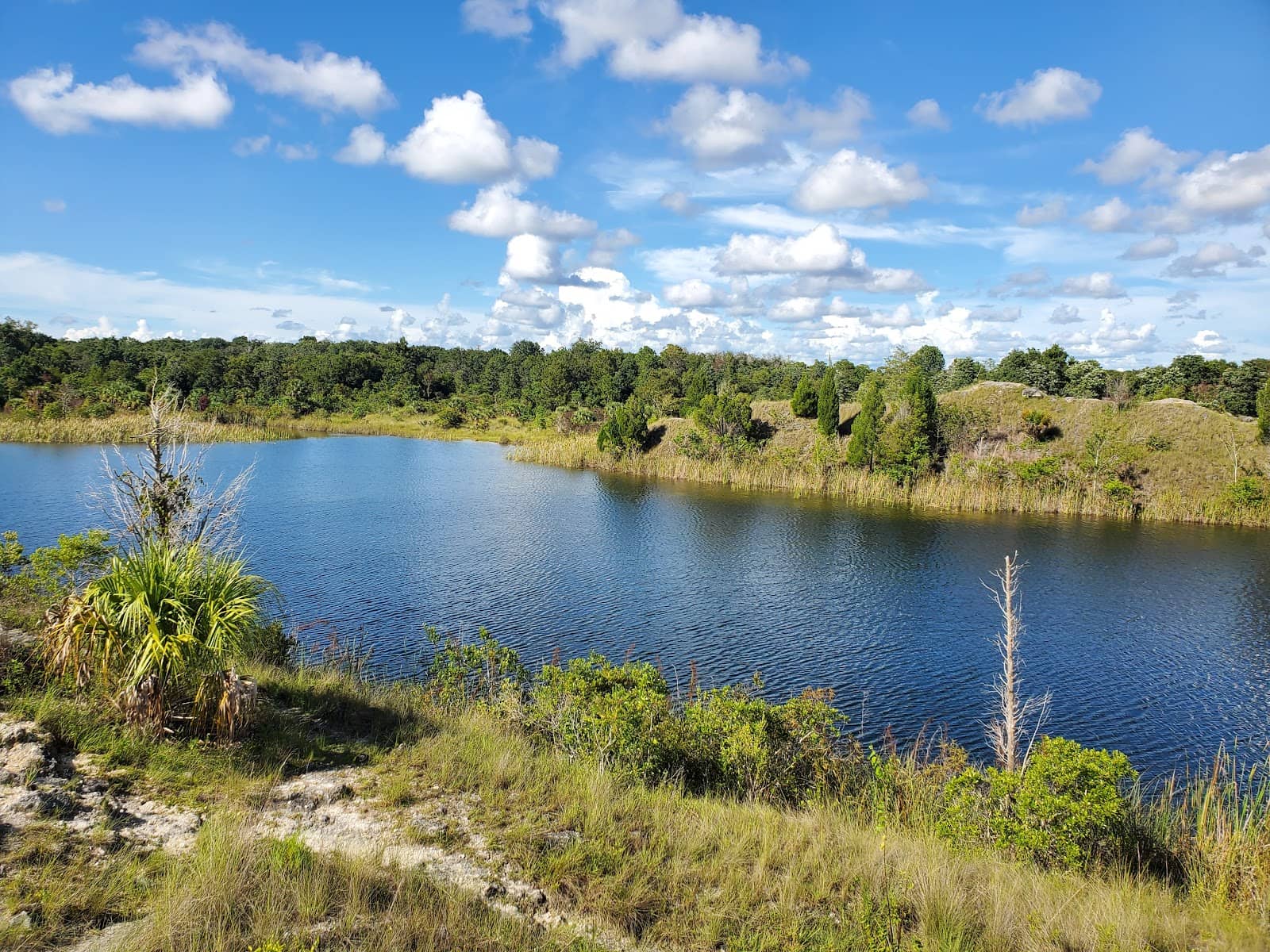 Quarry Lake Fishing