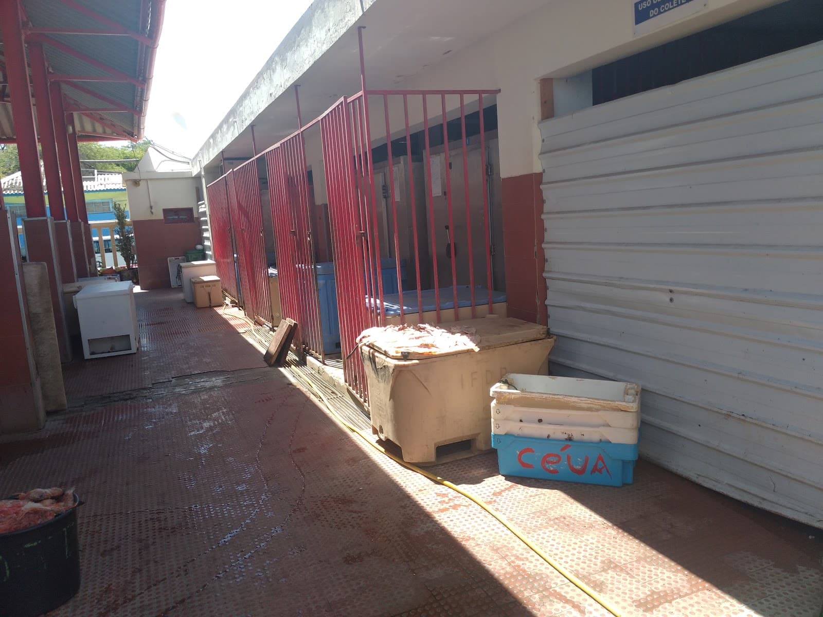 Fish Market - Image 1