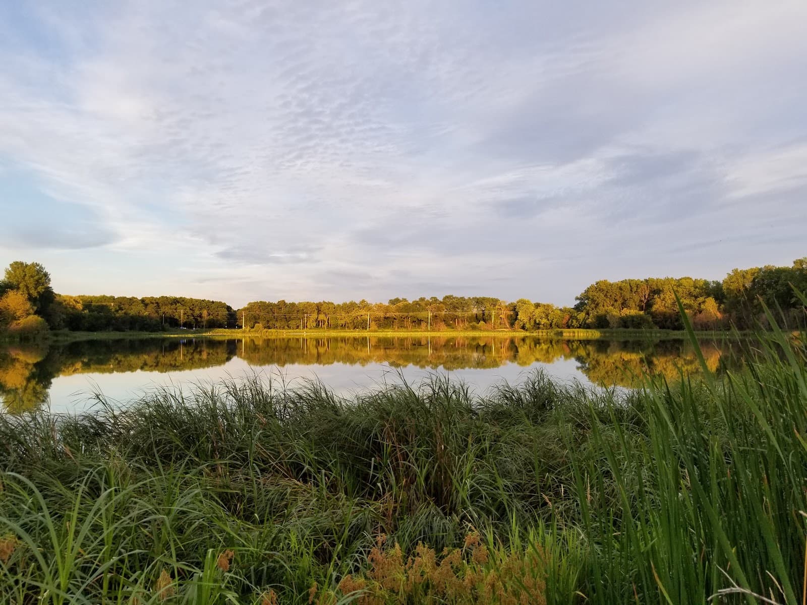 Tiedeman Pond Conservancy - Image 1