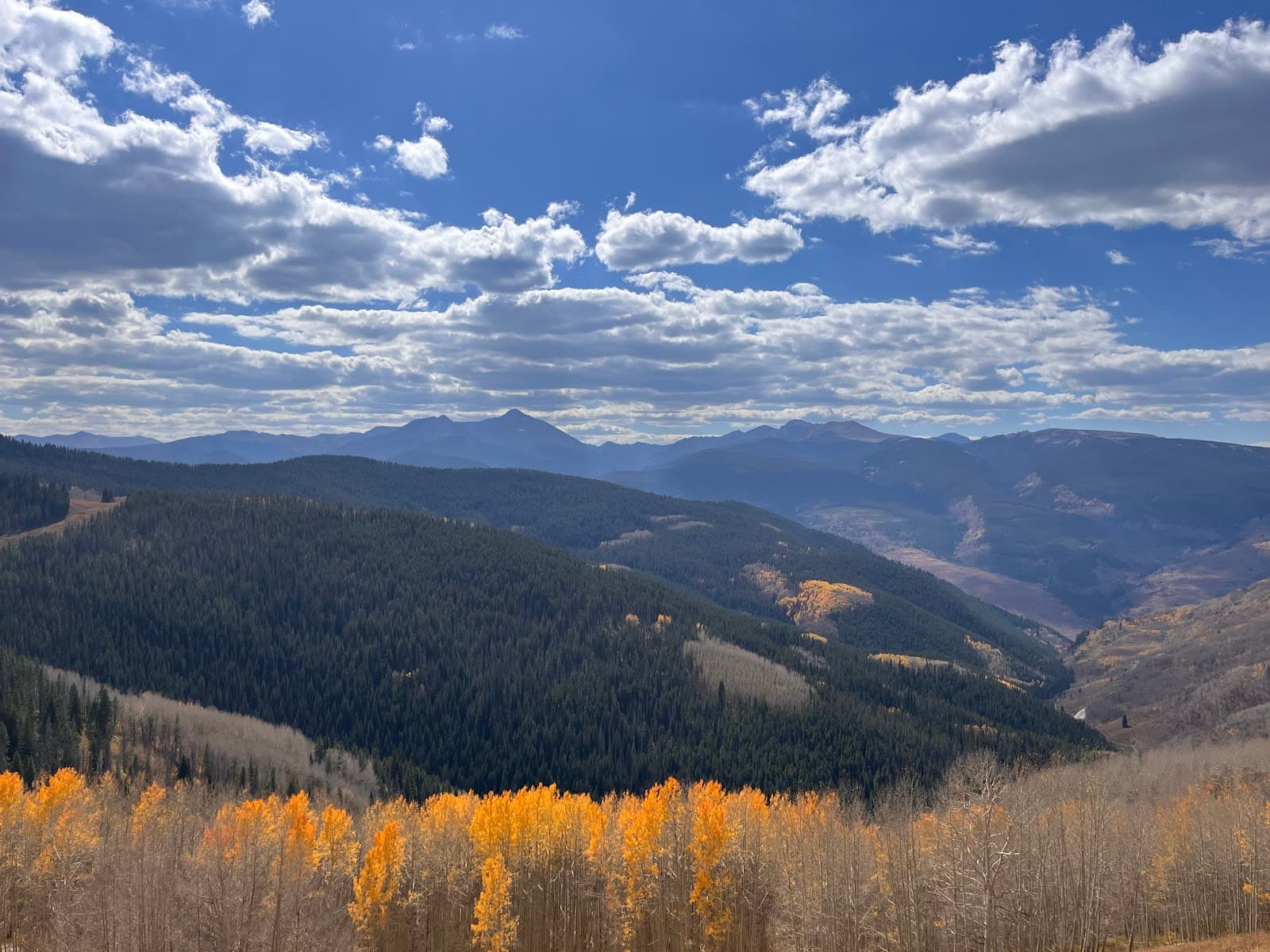 Berry Picker Trail - Image 1