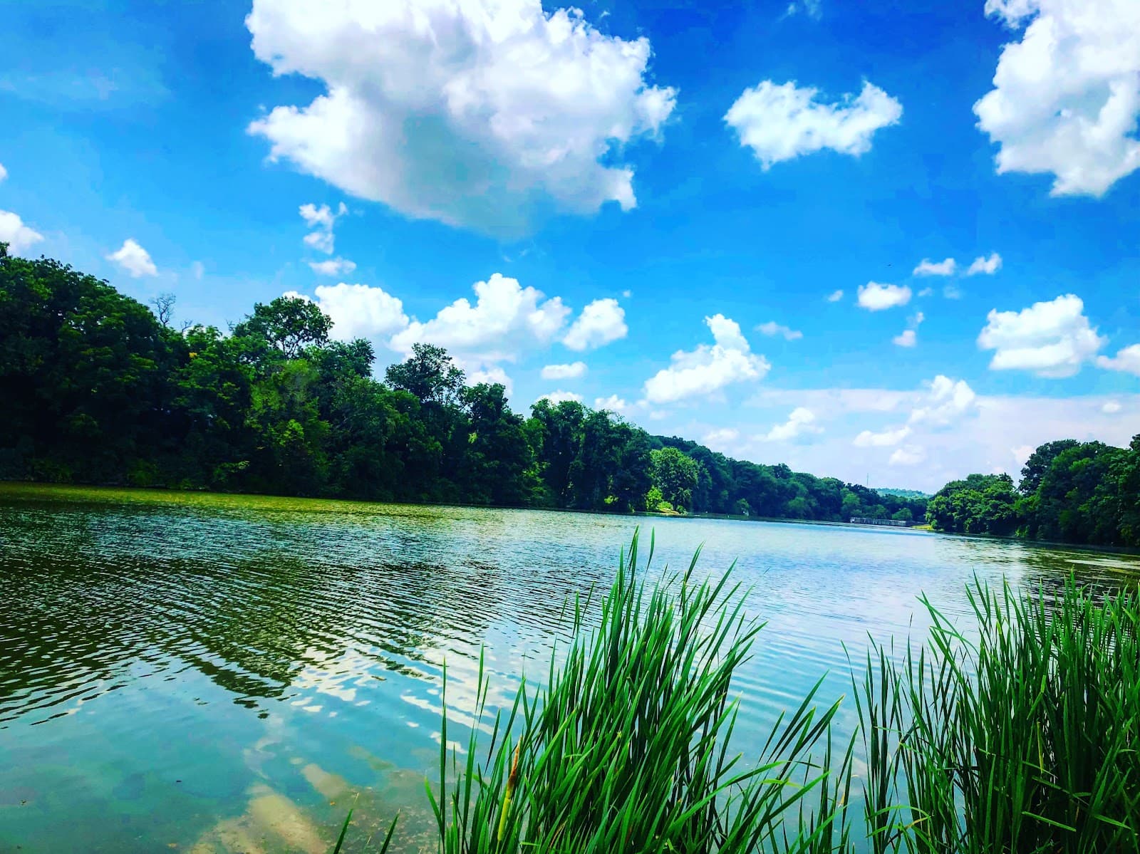 Canonsburg Lake - Image 1