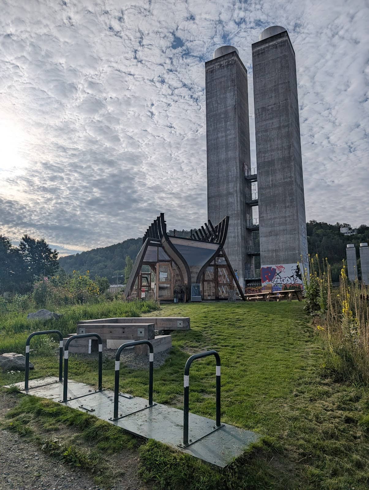Vertical photo