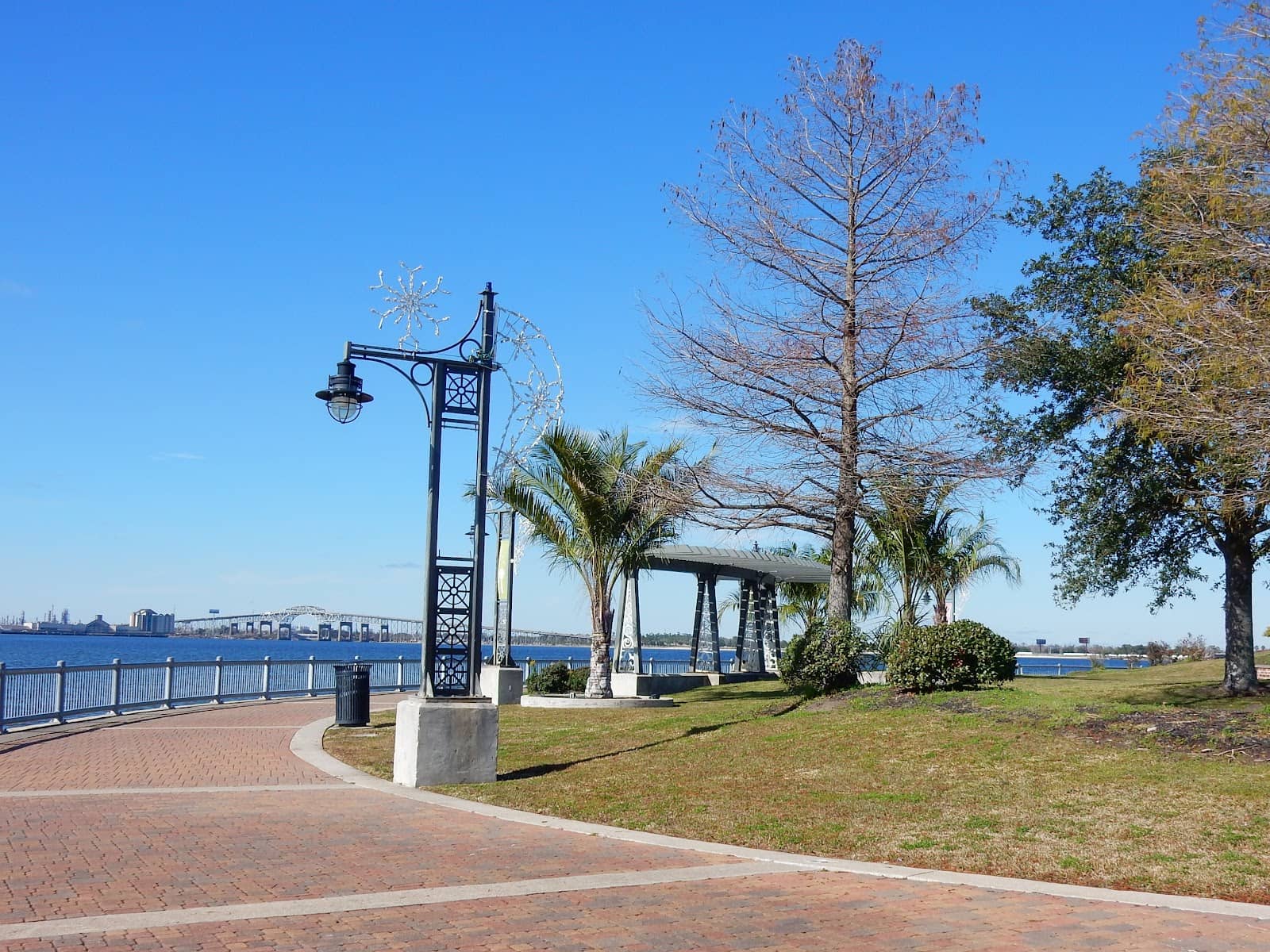 Relaxing Benches with a View