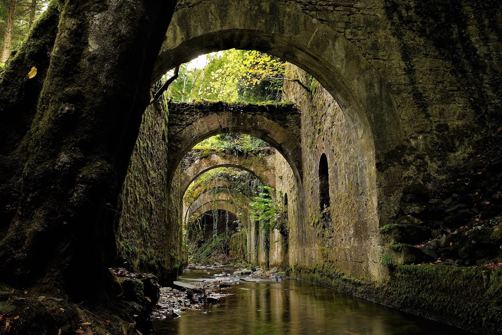 Eugi Reservoir and Royal Munitions Factory - Image 1