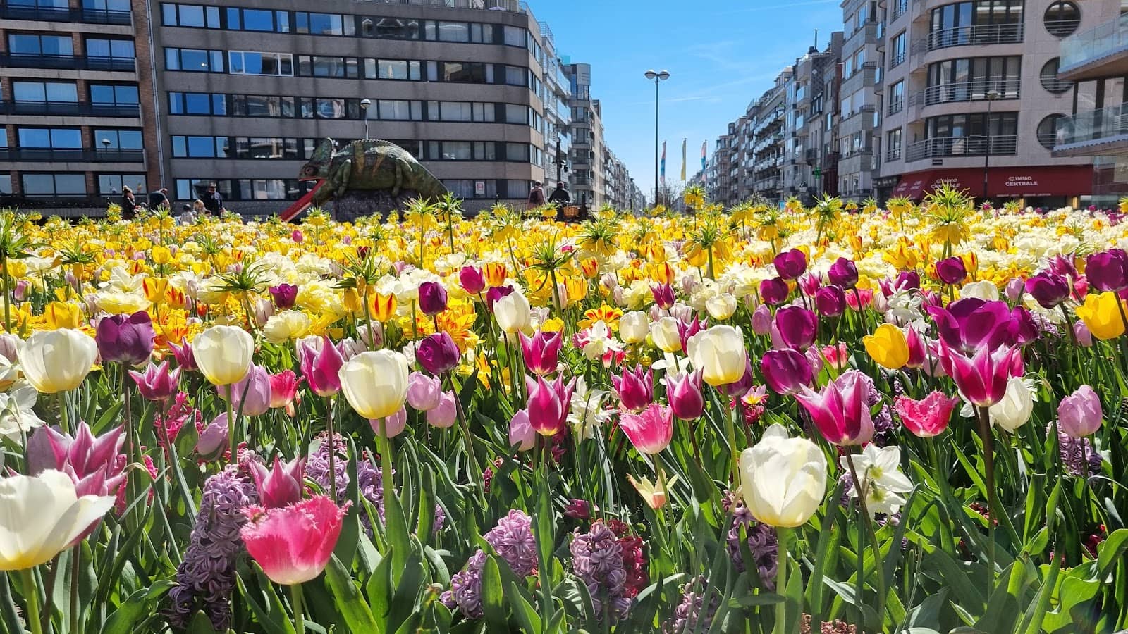 The Iconic Beach Huts
