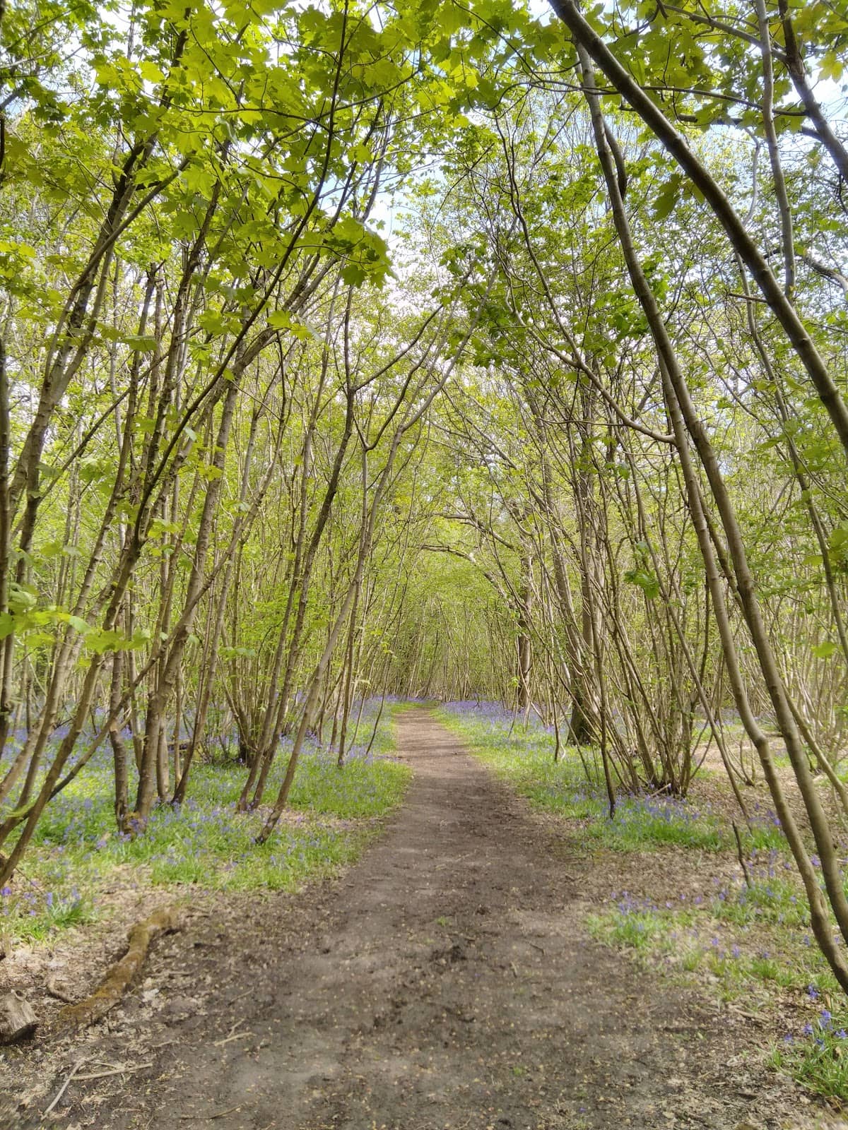 Vertical photo