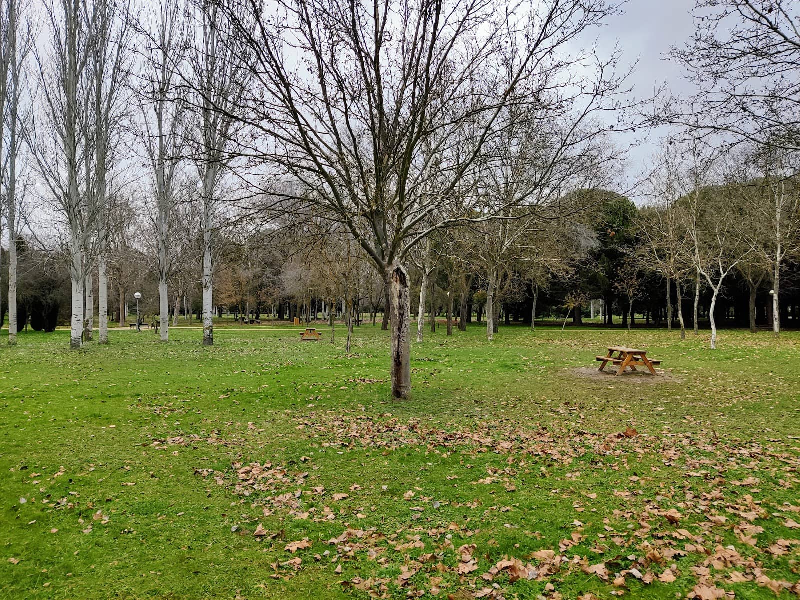 Bike-Friendly Trails