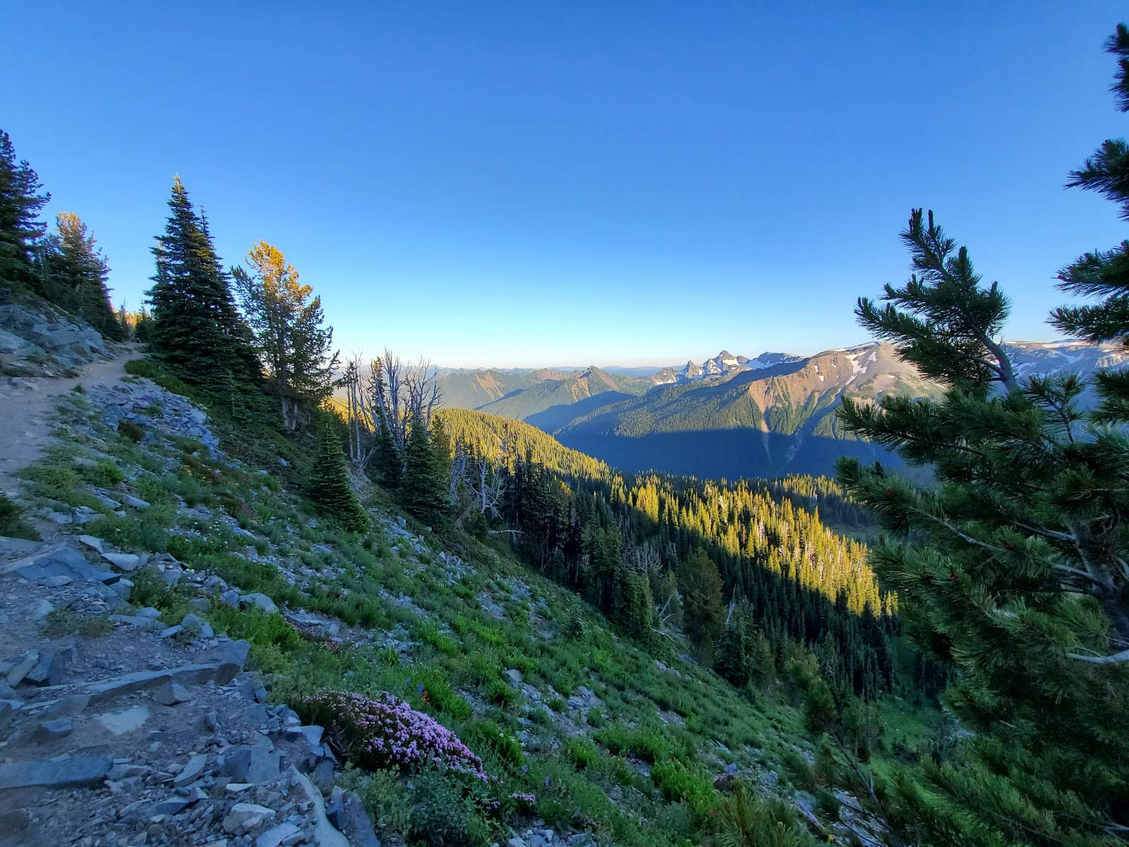 Emmons Glacier