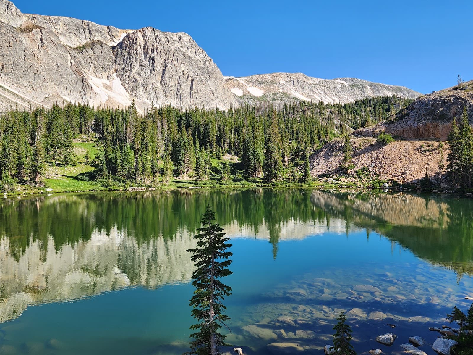 Medicine Bow National Forest - Image 1