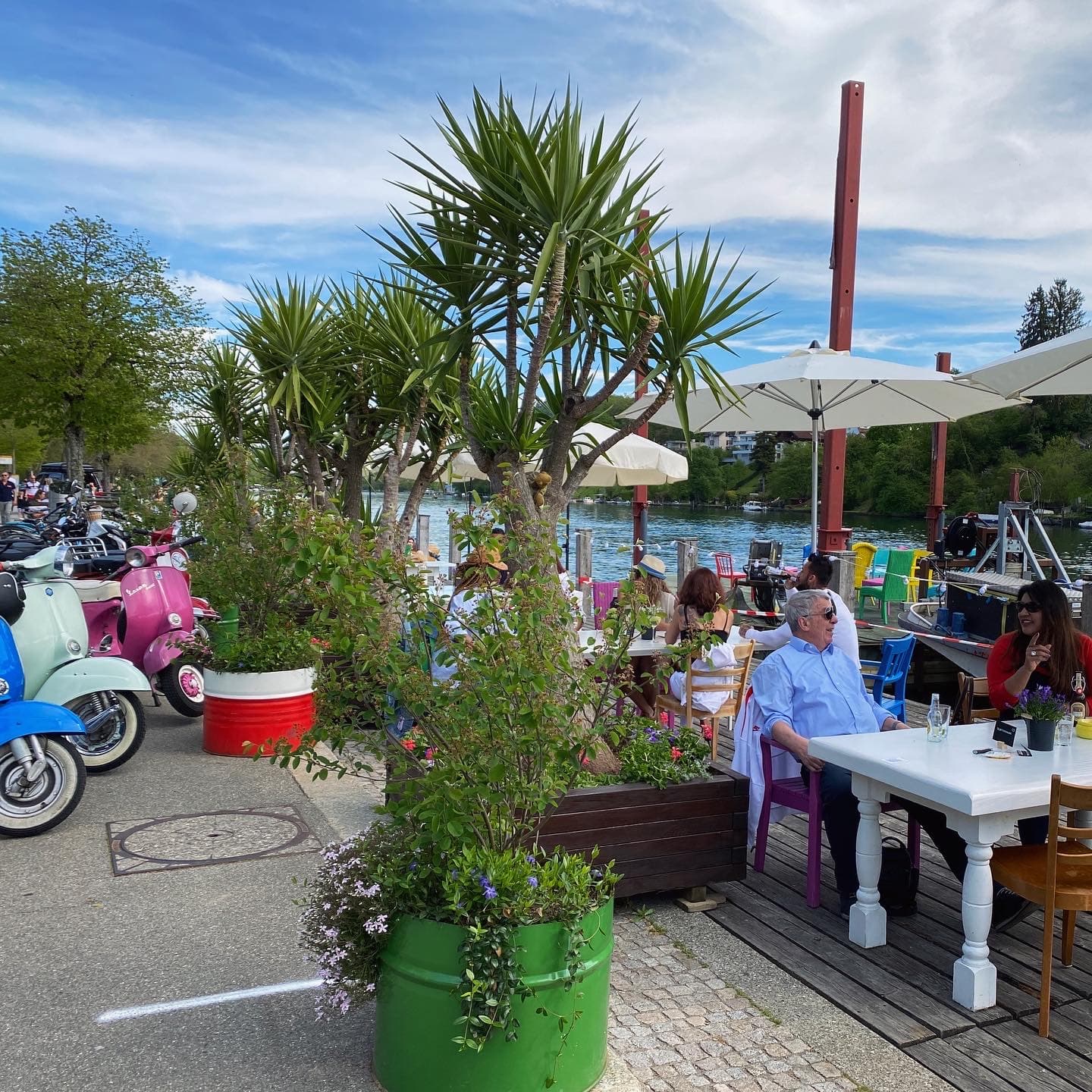 Lindli Promenade (Rhine) - Image 1