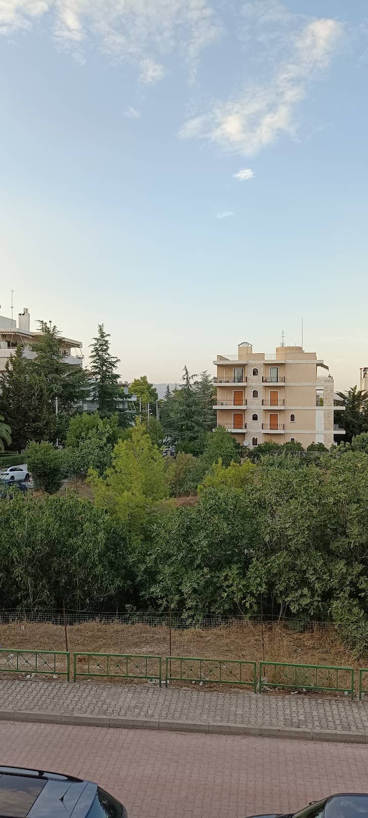 Vertical photo