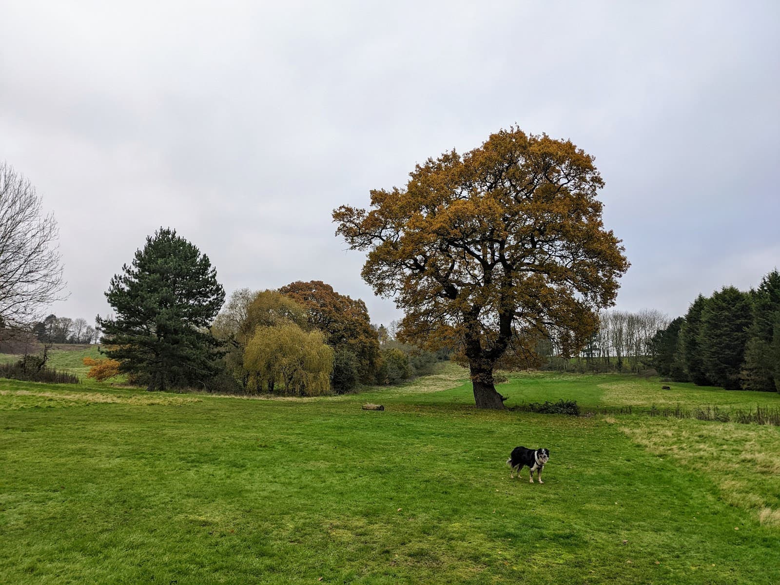 Newbold Comyn Park - Image 1
