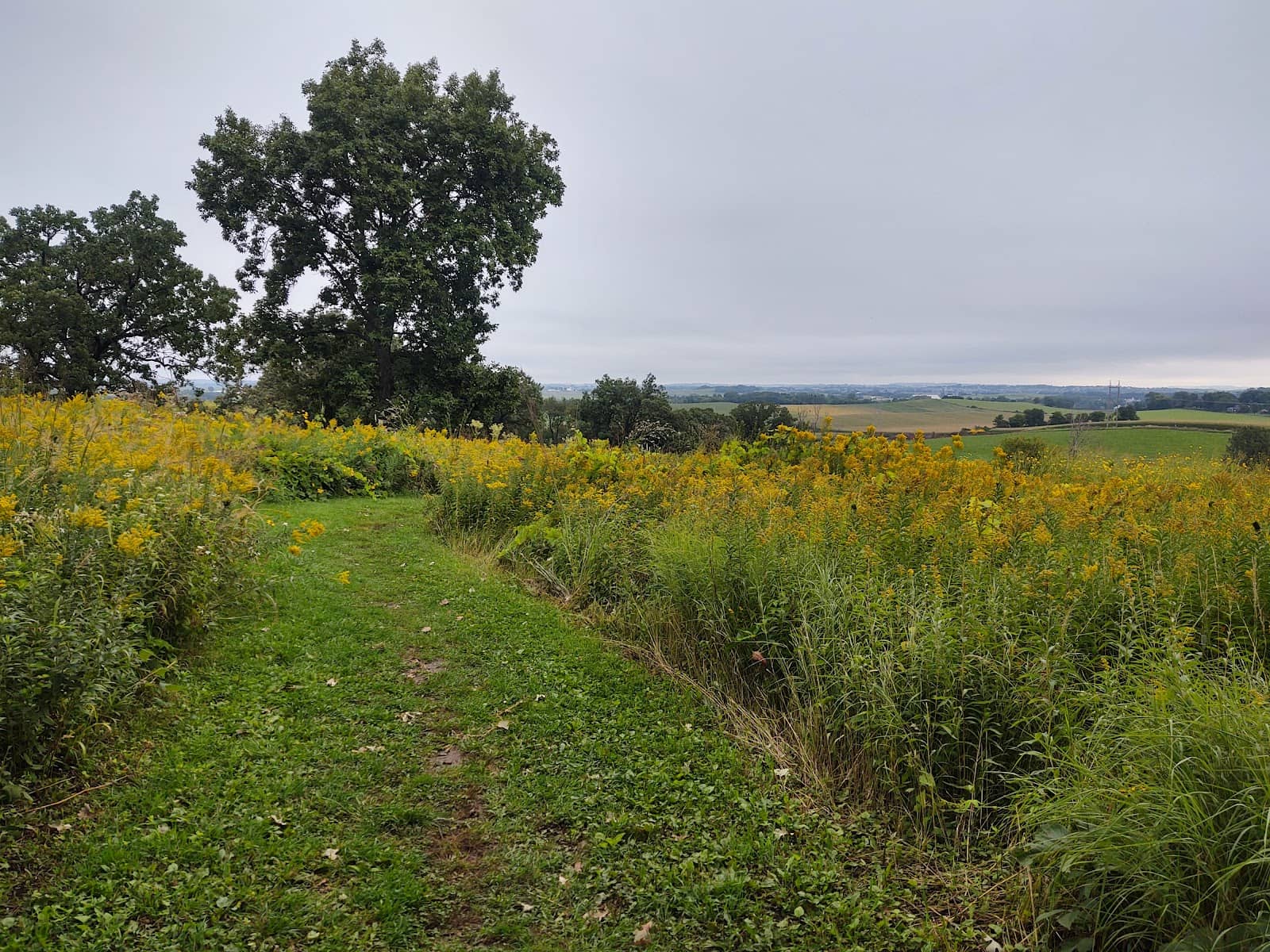 The Mounds