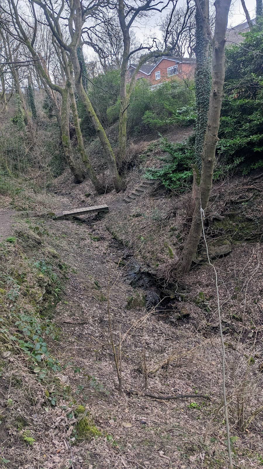 Vertical photo
