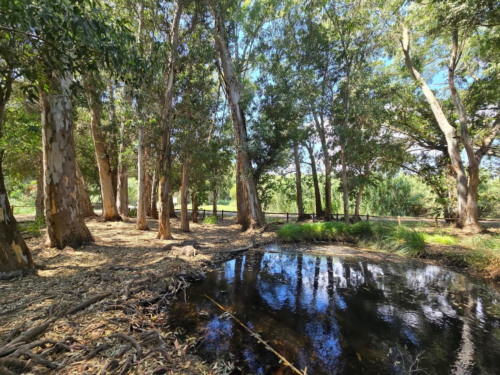 Ullals de Baltasar - Image 1