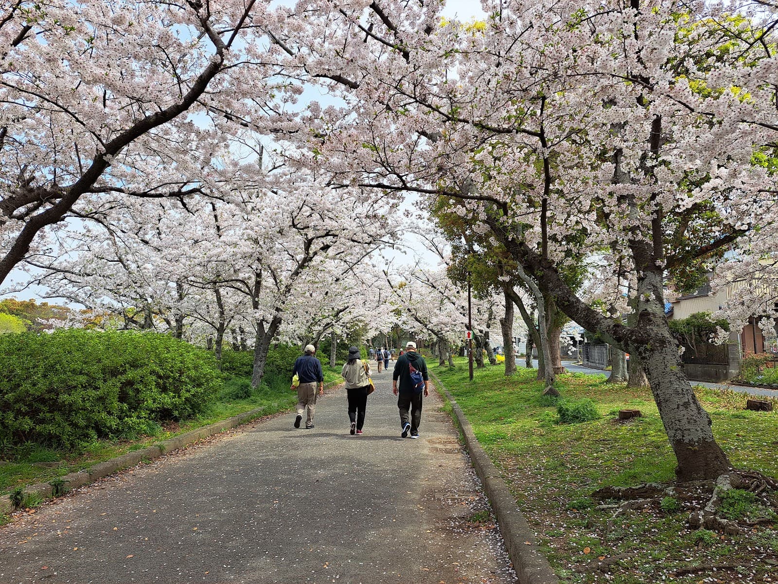 Mukaiyama Green Park - Image 1
