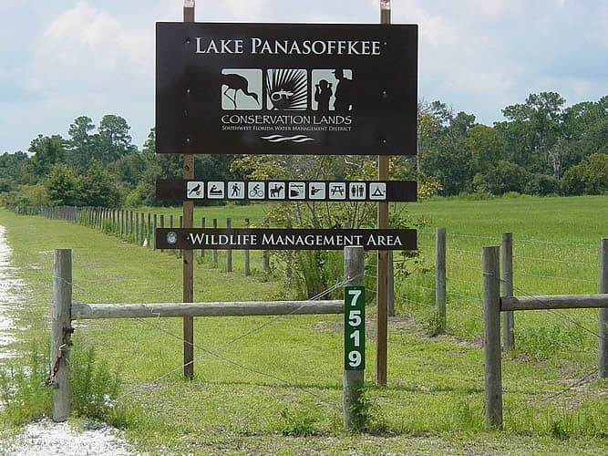 Lake Panasoffkee Wildlife Management Area - Image 1