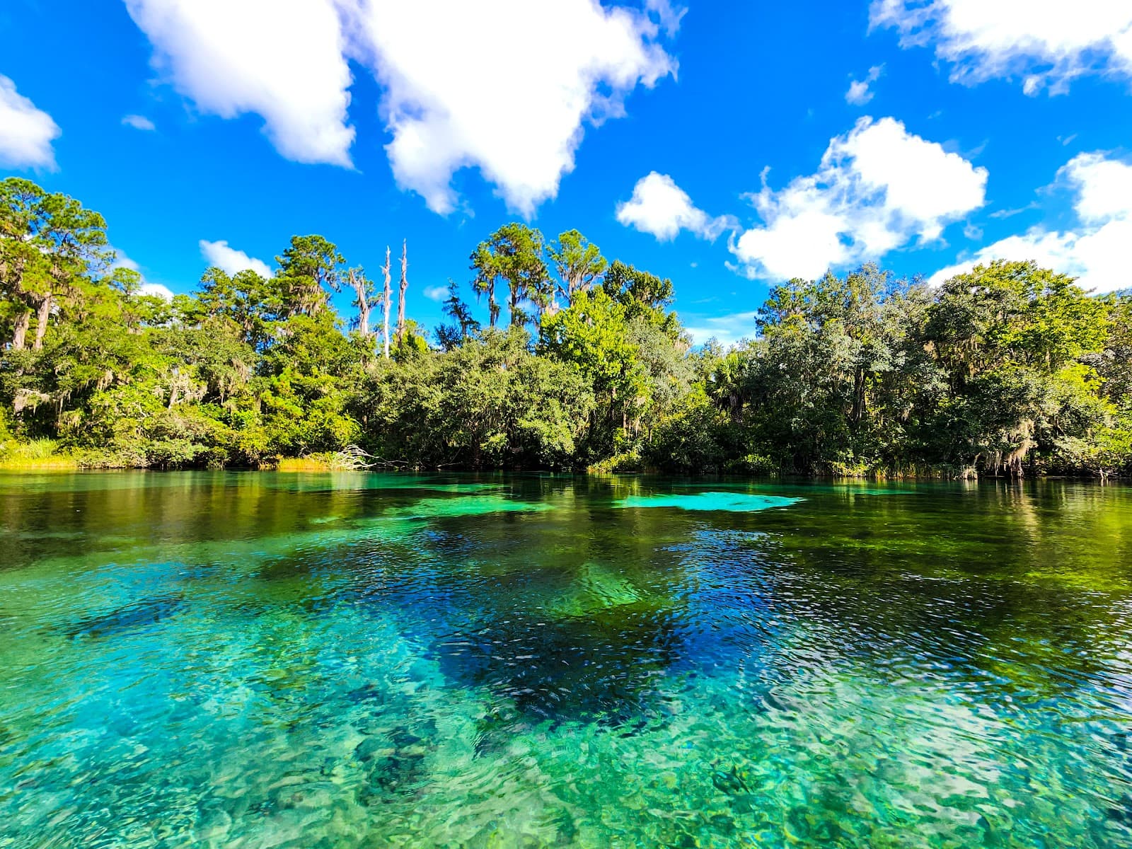 Rainbow Springs State Park - Image 1