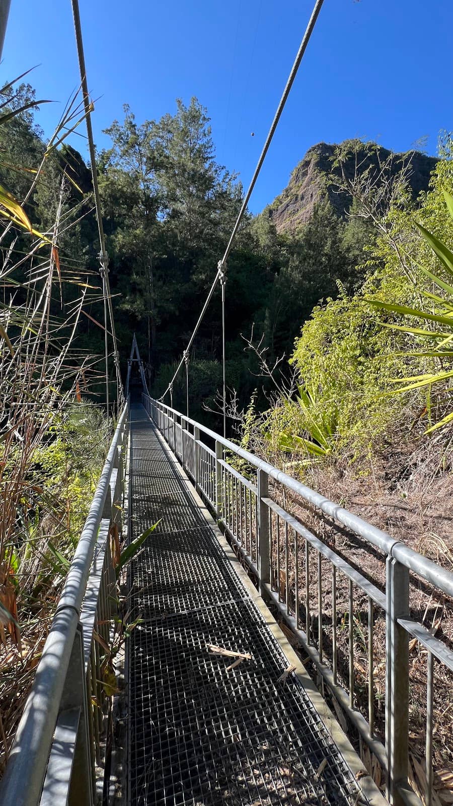 Vertical photo