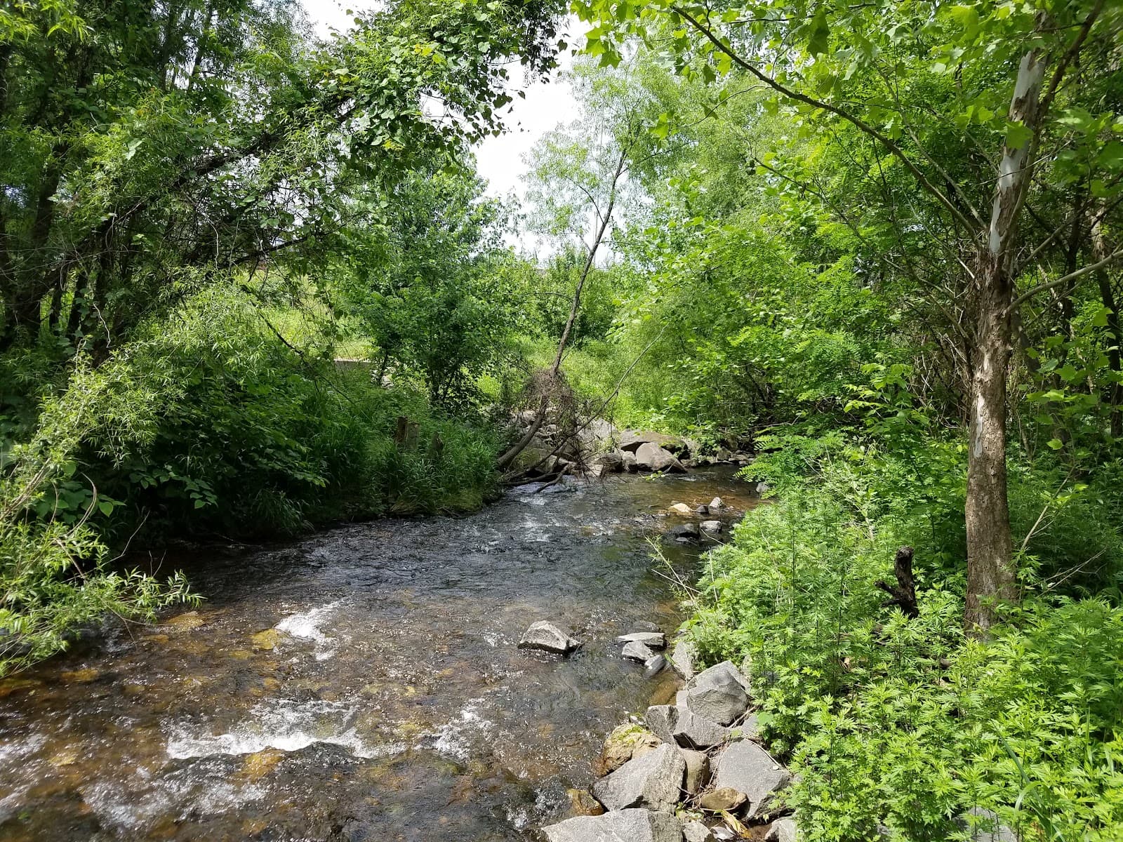 Angelica Creek Park (The Nature Place) - Image 1