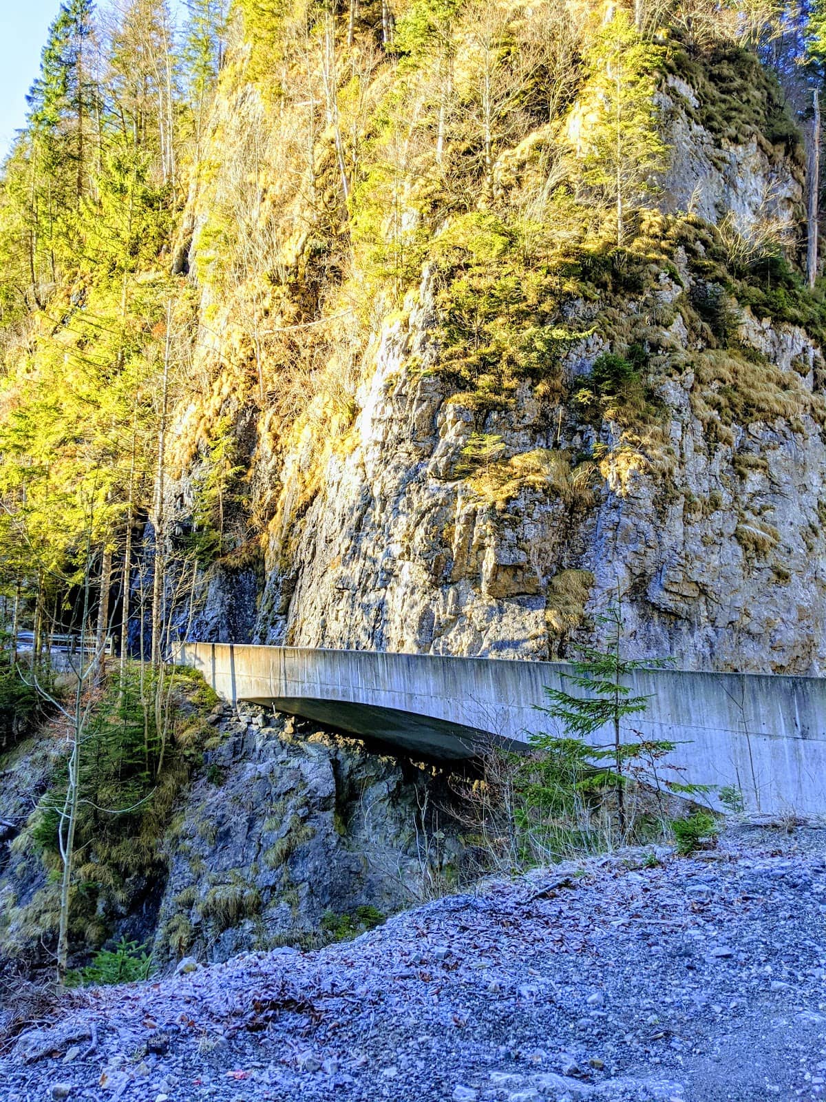 Vertical photo
