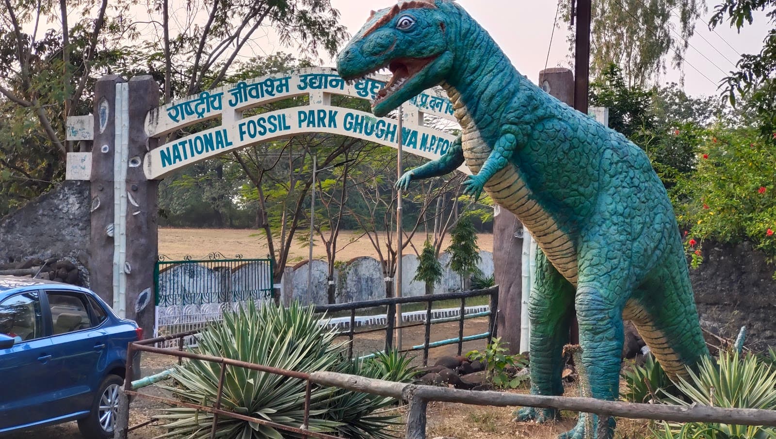 Ghughwa Fossil Park - Image 1