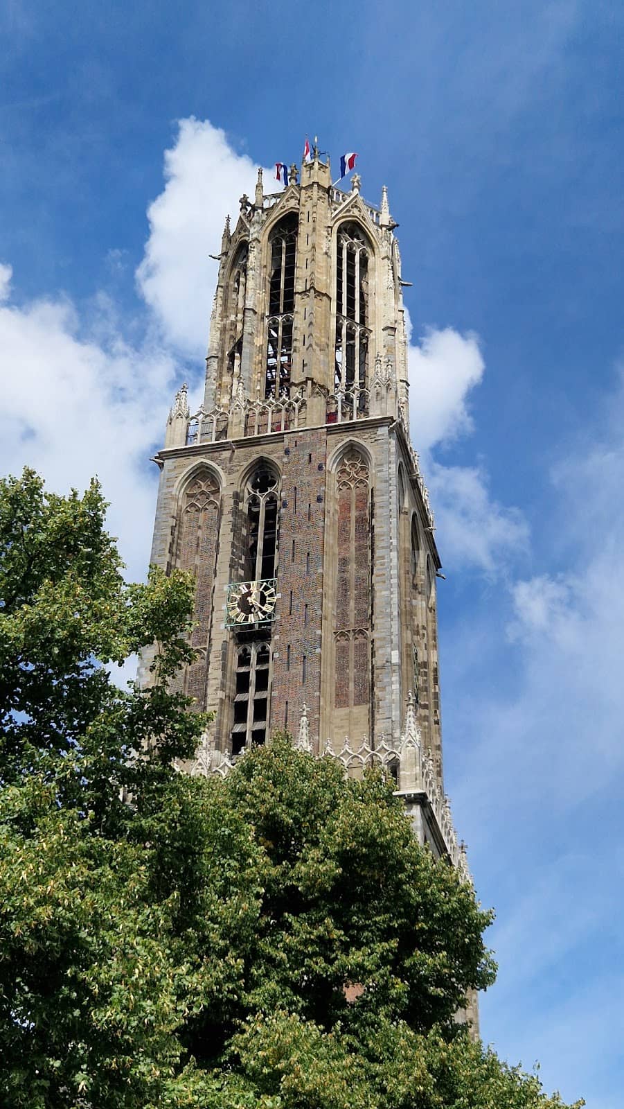 Vertical photo