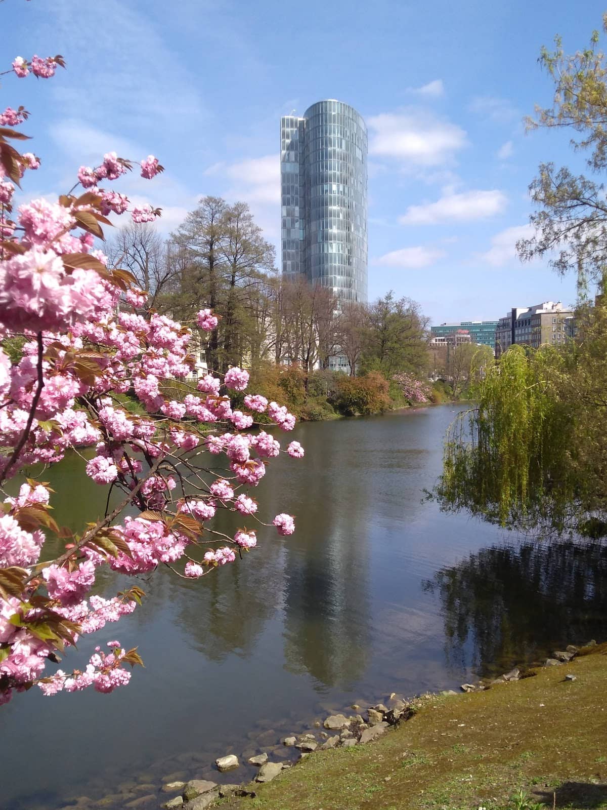 Segovia Meson Spanish Cuisine