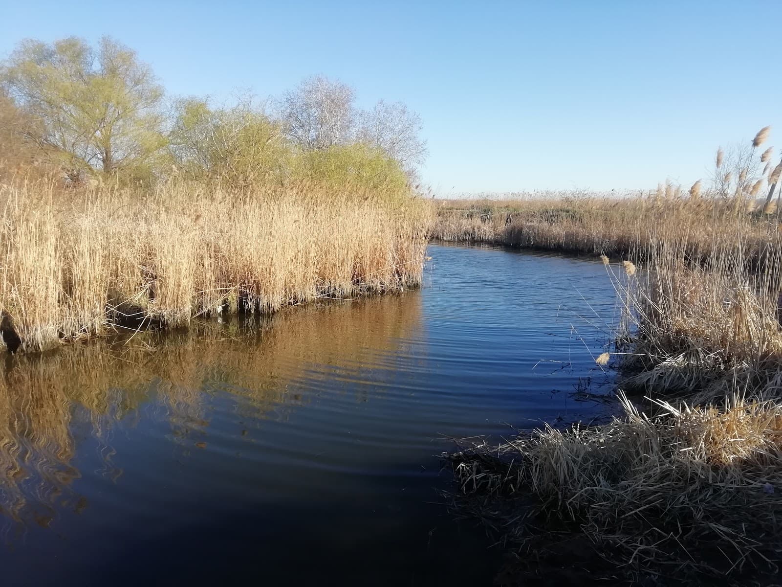 Lower Dniester National Park - Image 1