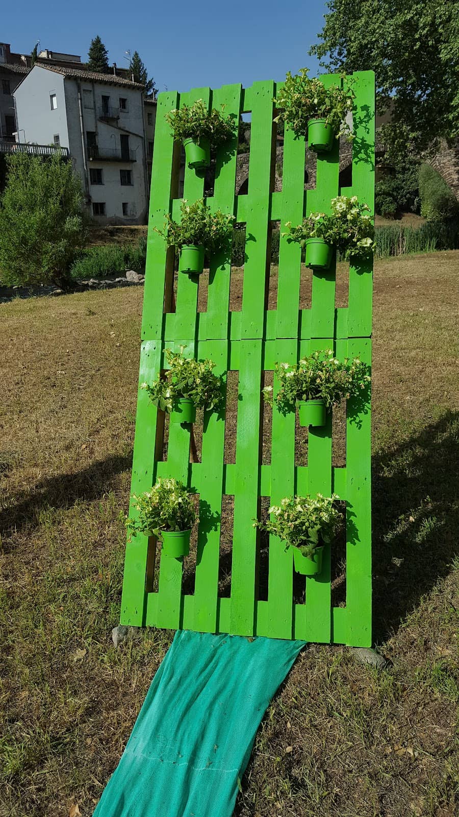 Vertical photo