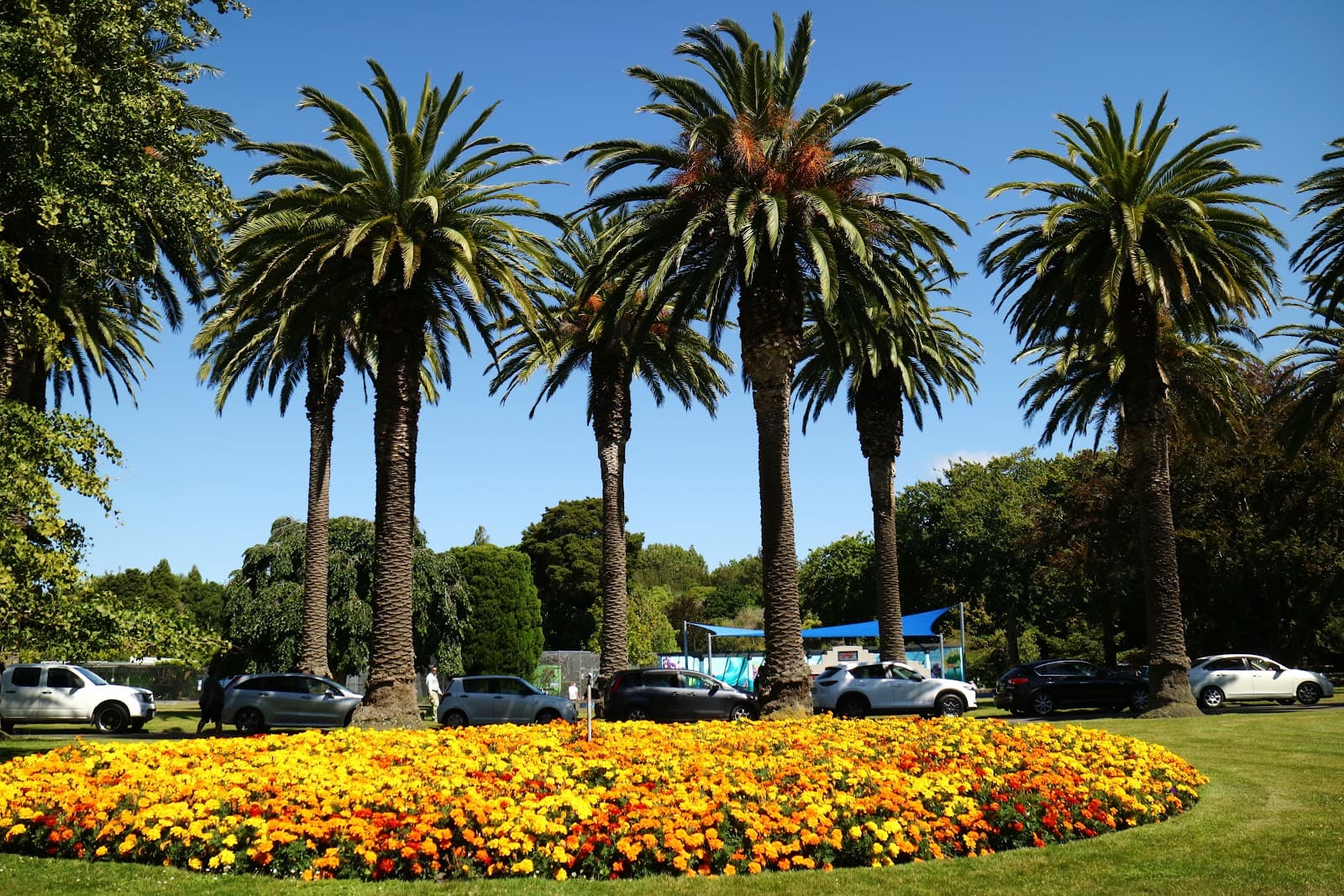 Victoria Esplanade Gardens Palmerston North - Image 1