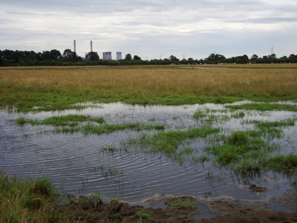 Beckingham Marshes (RSPB) - Image 1