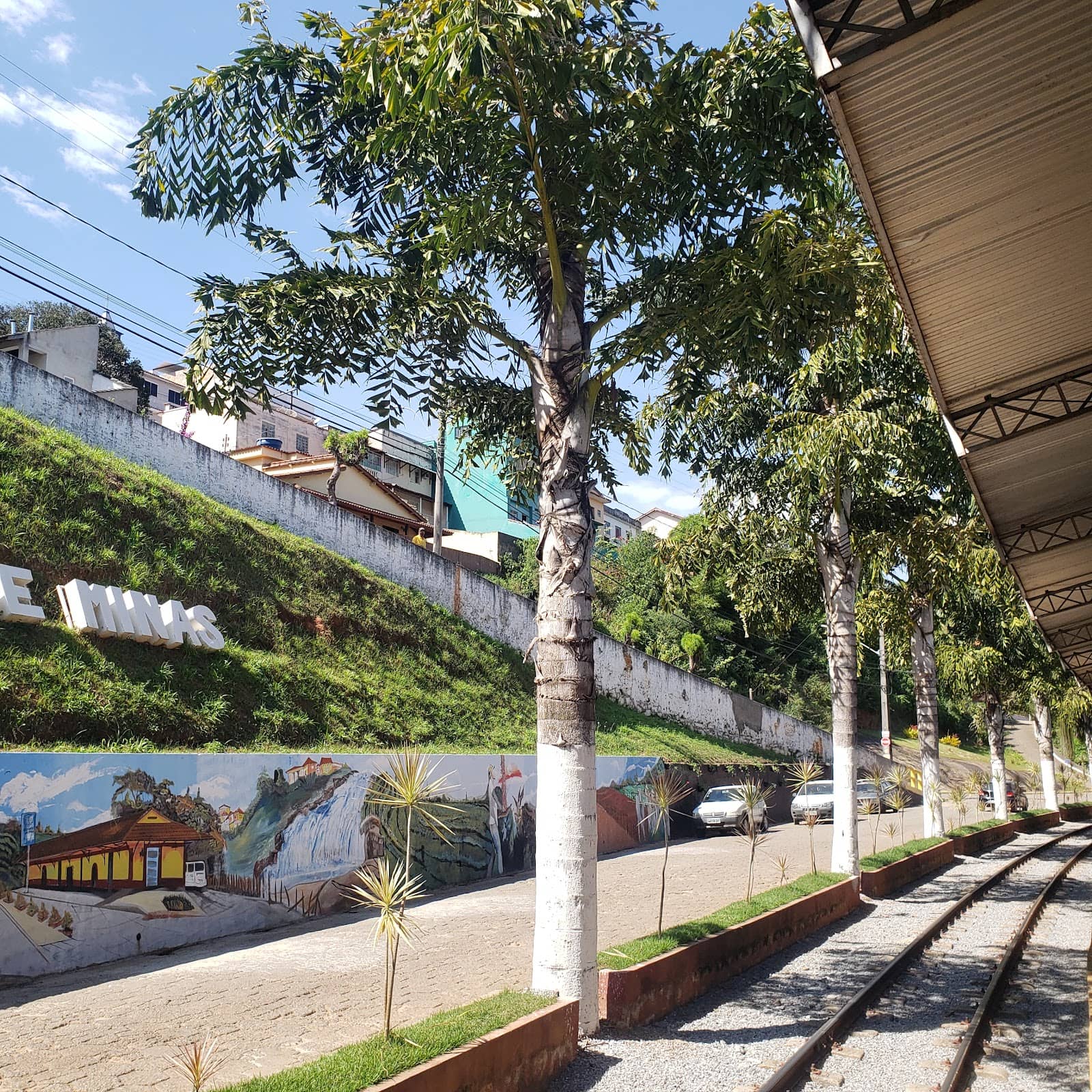 Procissão dos Canoeiros