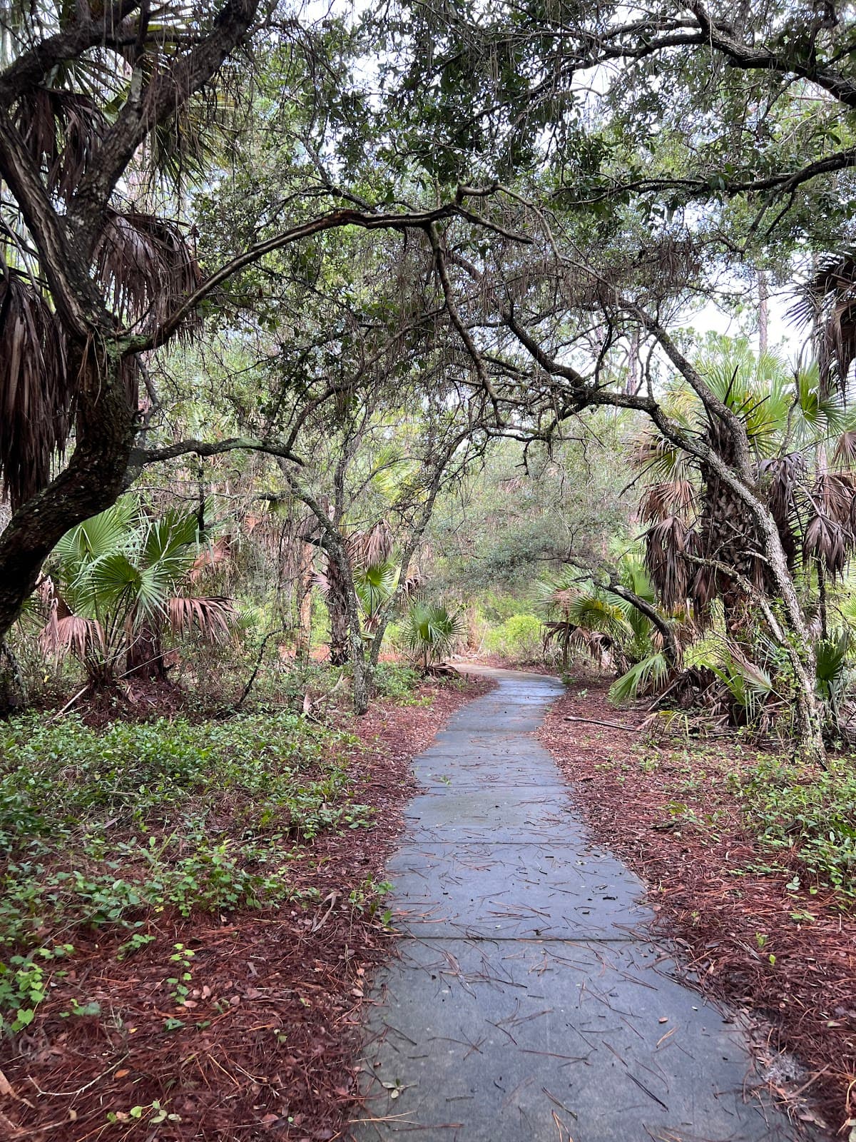Frenchman’s Forest Natural Area - Image 1