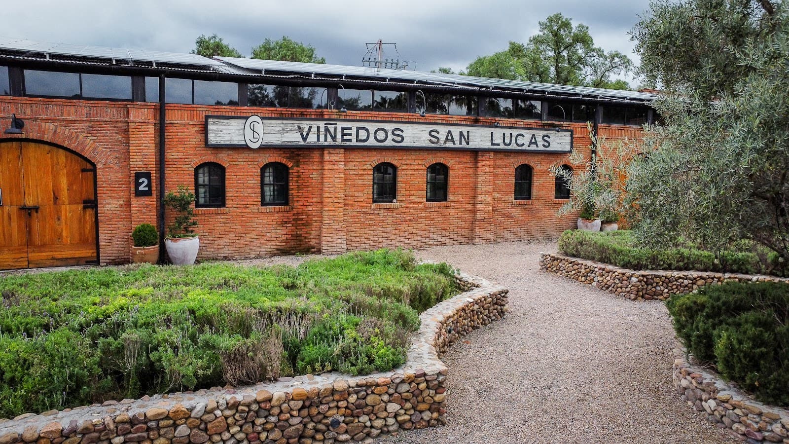 Viñedos San Lucas - Image 1