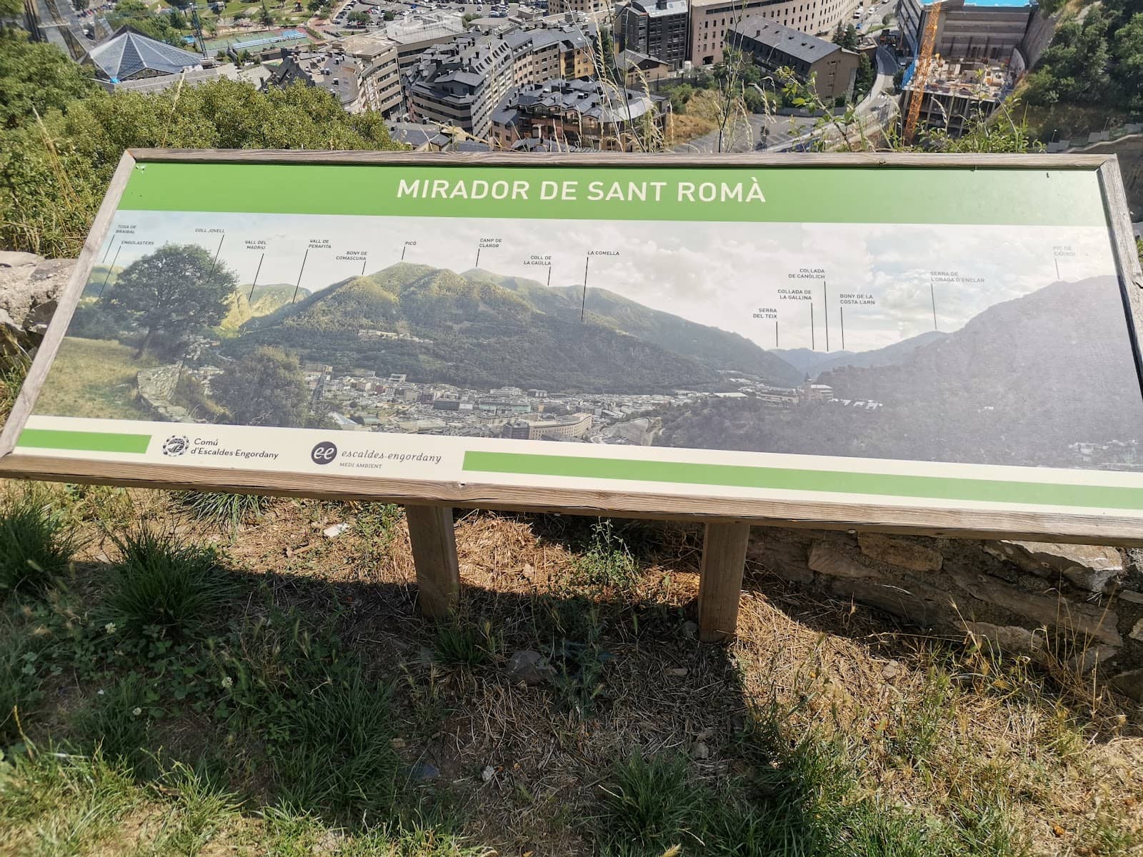 Vertical photo