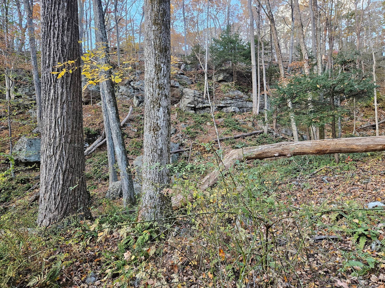 Overlook Point