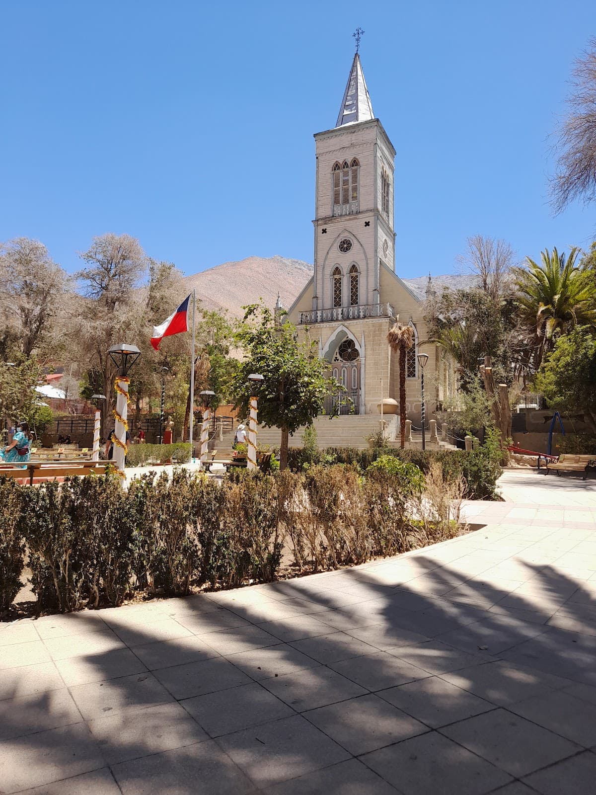 Pisco Elqui - Image 1