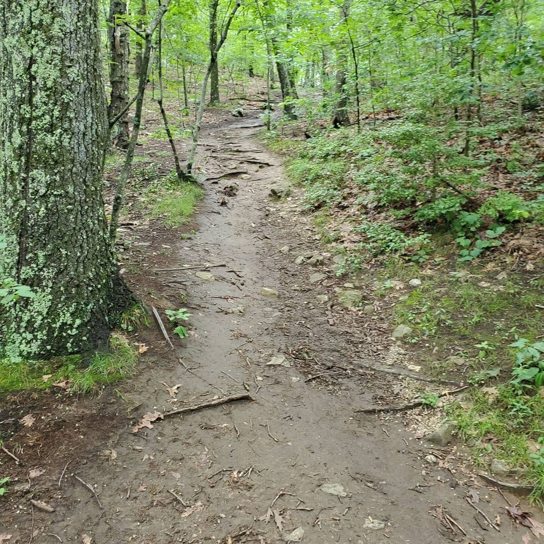 Whipple Hill - Image 1