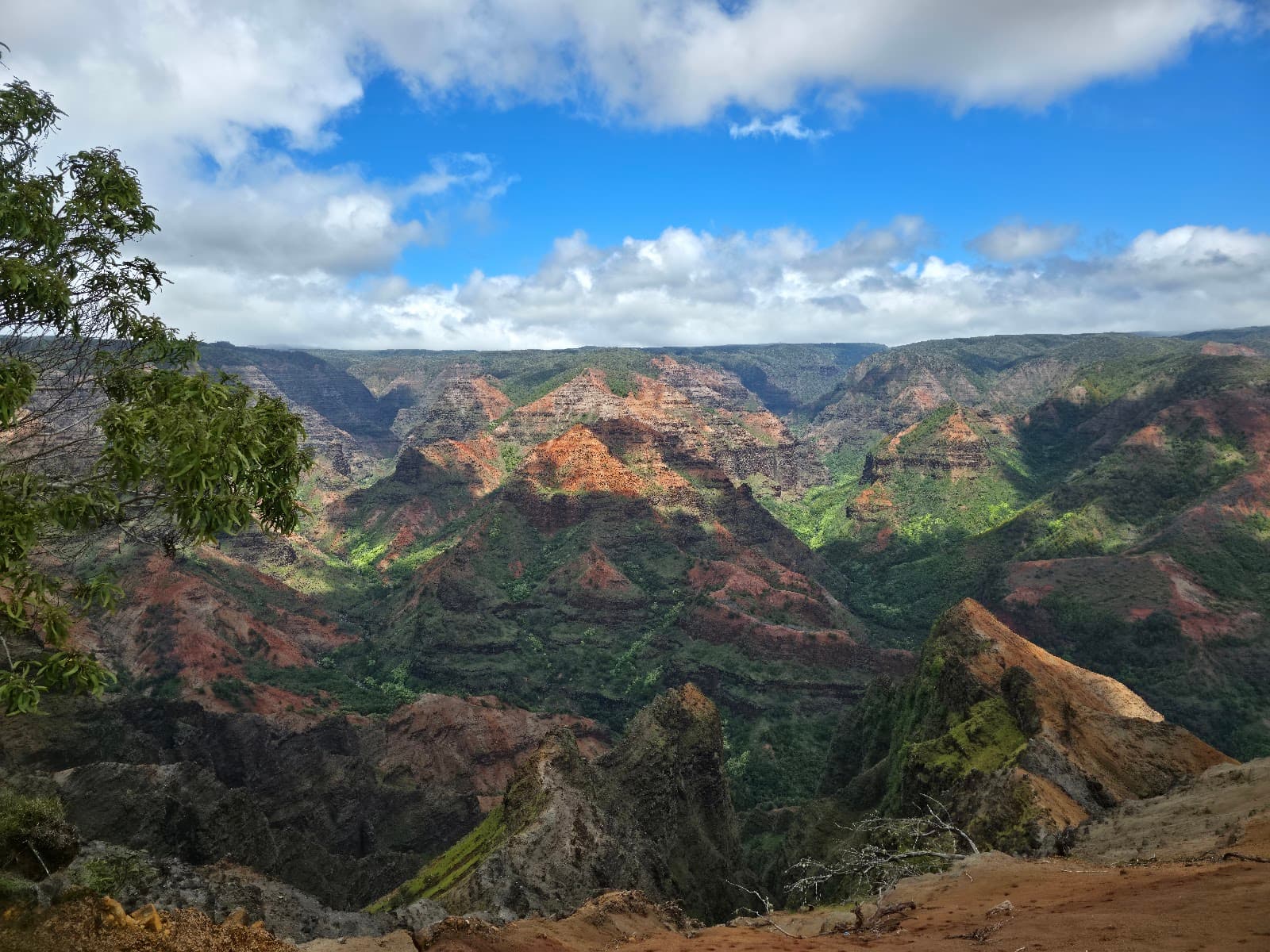 Waimea Canyon State Park - Image 1