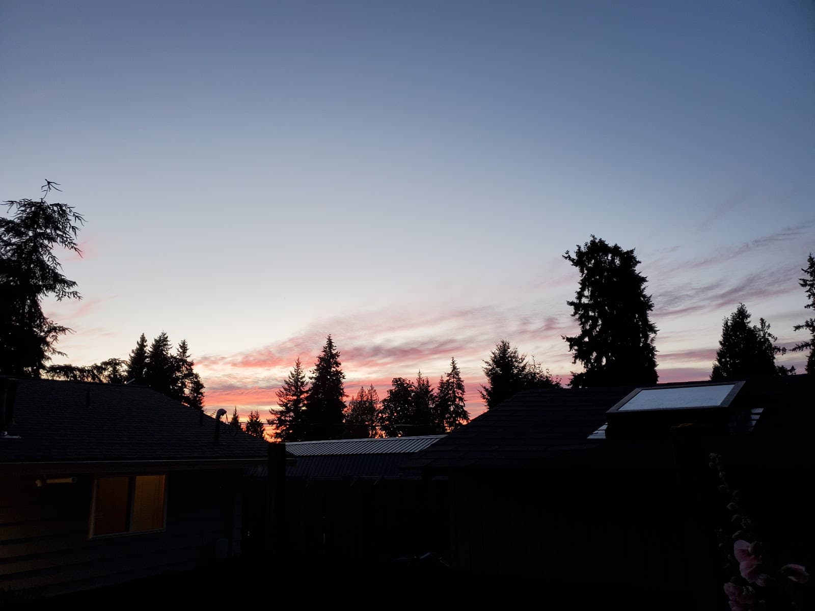 Bridle Trails (neighborhood) - Image 1