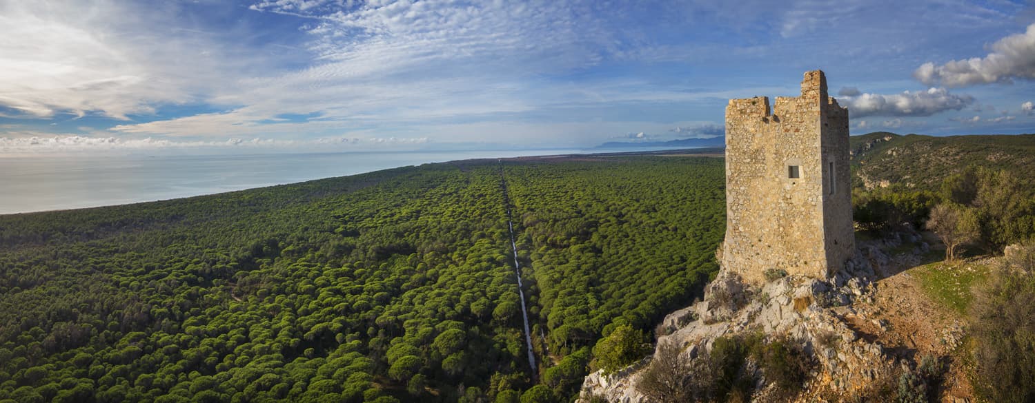 Maremma Regional Park (Uccellina) - Image 1