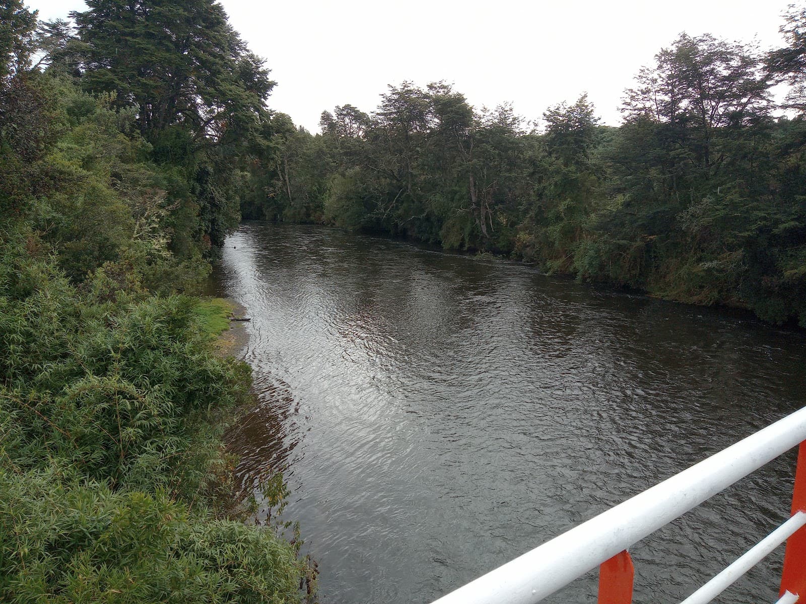 Maullín River Wetlands - Image 1