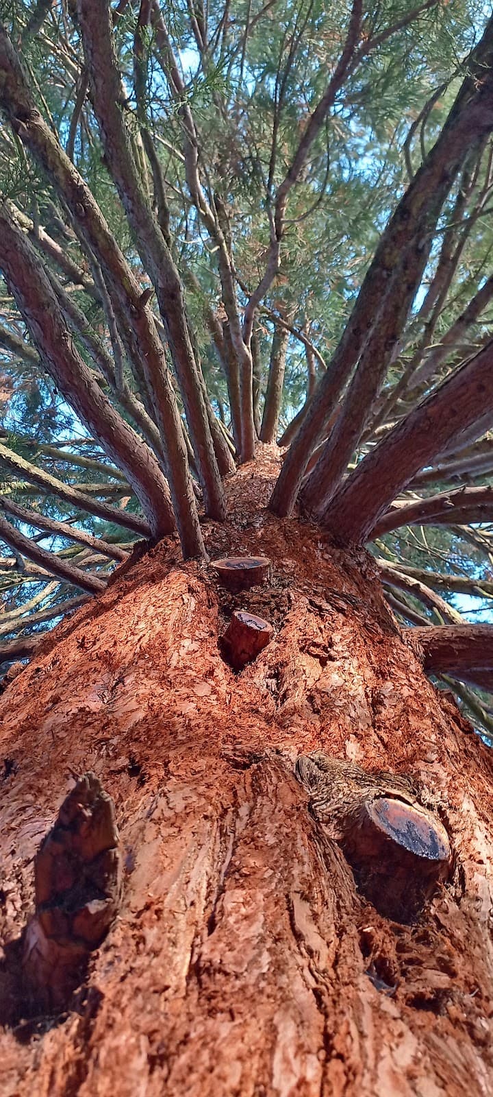 Hampson Park - Image 1