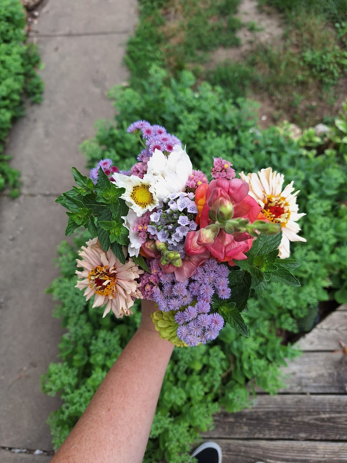 Terre Haute Farmers Market - Image 1
