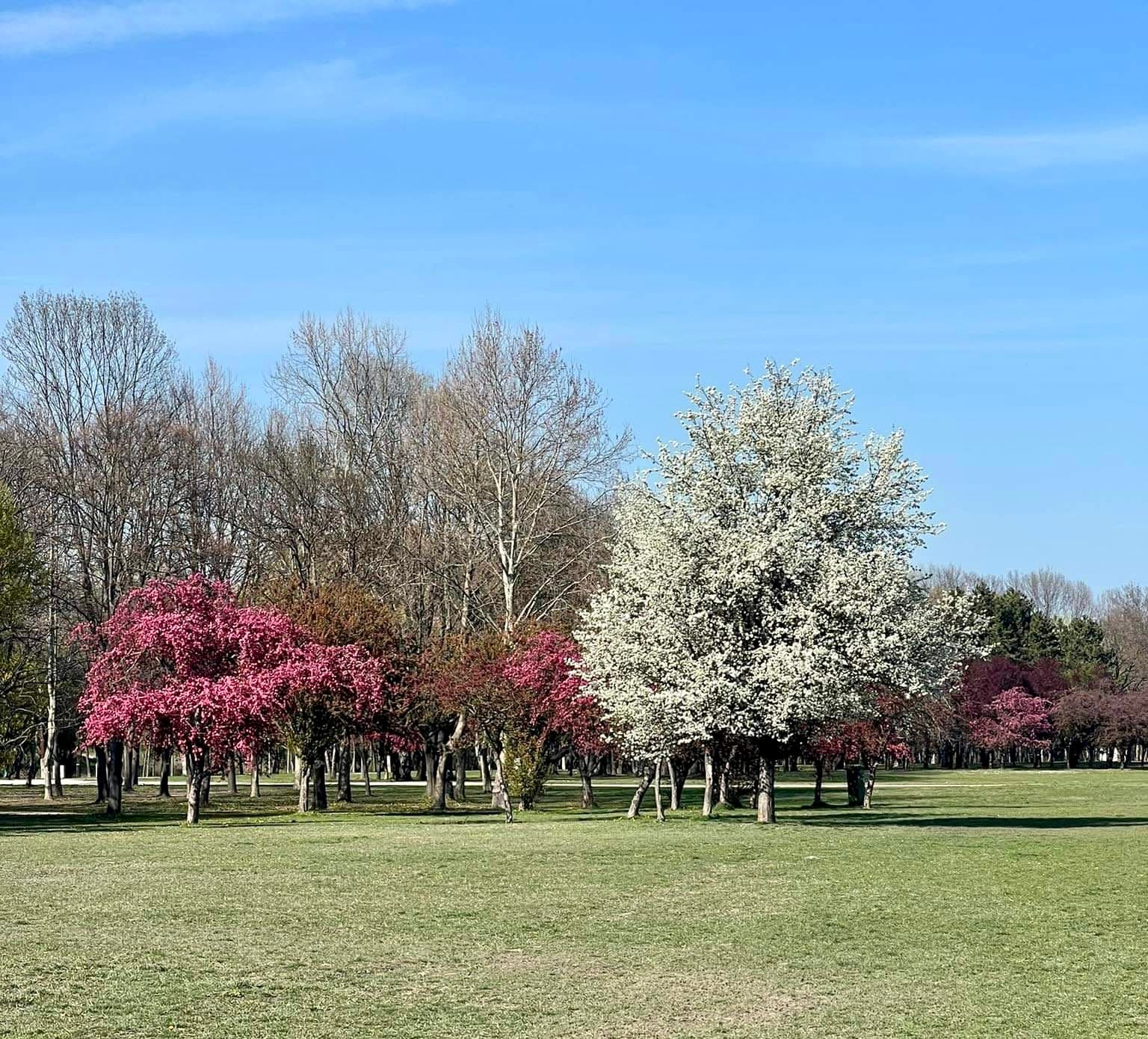 Óbuda Island Budapest - Image 1